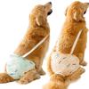 Reusable Female Pet Sanitary Panties Breathable Large Dogs Safety Diapers  Medium Dogs