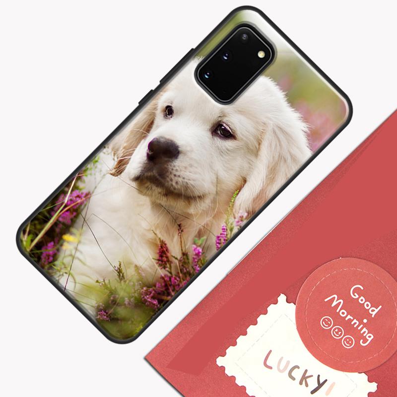 Golden Retriever Dog Phone Case For Samsung Galaxy S24 S26 Ultra S20 S21 S22 S23 S25 Plus S10 S25 FE Cover Shell