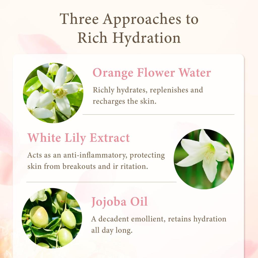 Paul & Joe Moisturizing Foundation Primer #03 [Parallel Import]