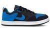Nike SB Alleyoop Удобная амортизация Низкие Детские Скейтбордические Кроссовки Черный Синий Подростки CJ0883-004