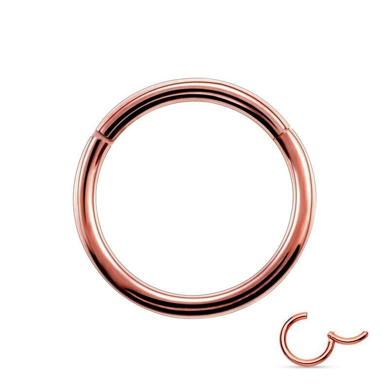 Titanium Hinged Segment Hoop Nose Ring Nipple Clicker Ear Cartilage Tragus Helix Lip Body Piercing
