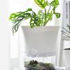 Mini Hydroponic Flower Pot Home Vase Decor Transparent Imitation Plastic Soilless Plant Pots Green Plants Pot For Home
