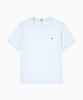 TOMMY HILFIGER Классическая футболка с коротким рукавом и флагом (T22G0Tto010Wt2C7O)