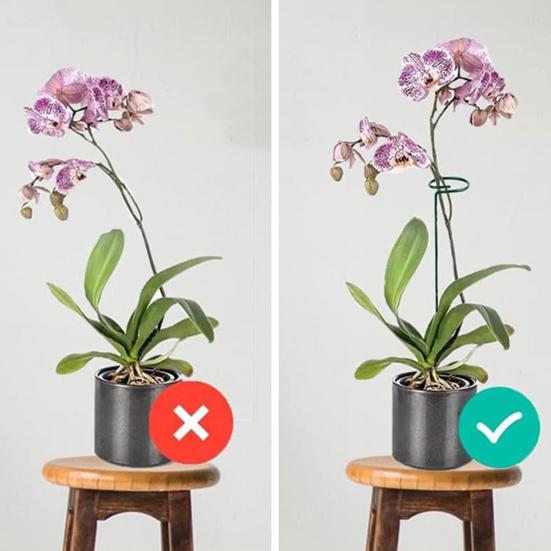 12 шт. Спиральные колышки для томатов, колышки для поддержки растений, колышки для вьющихся растений, для томатов, орхидеи-бабочки, цветов, для домашнего садоводства