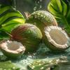 Супер Заменитель 100% Натуральные Соки и Кокосовая Вода
