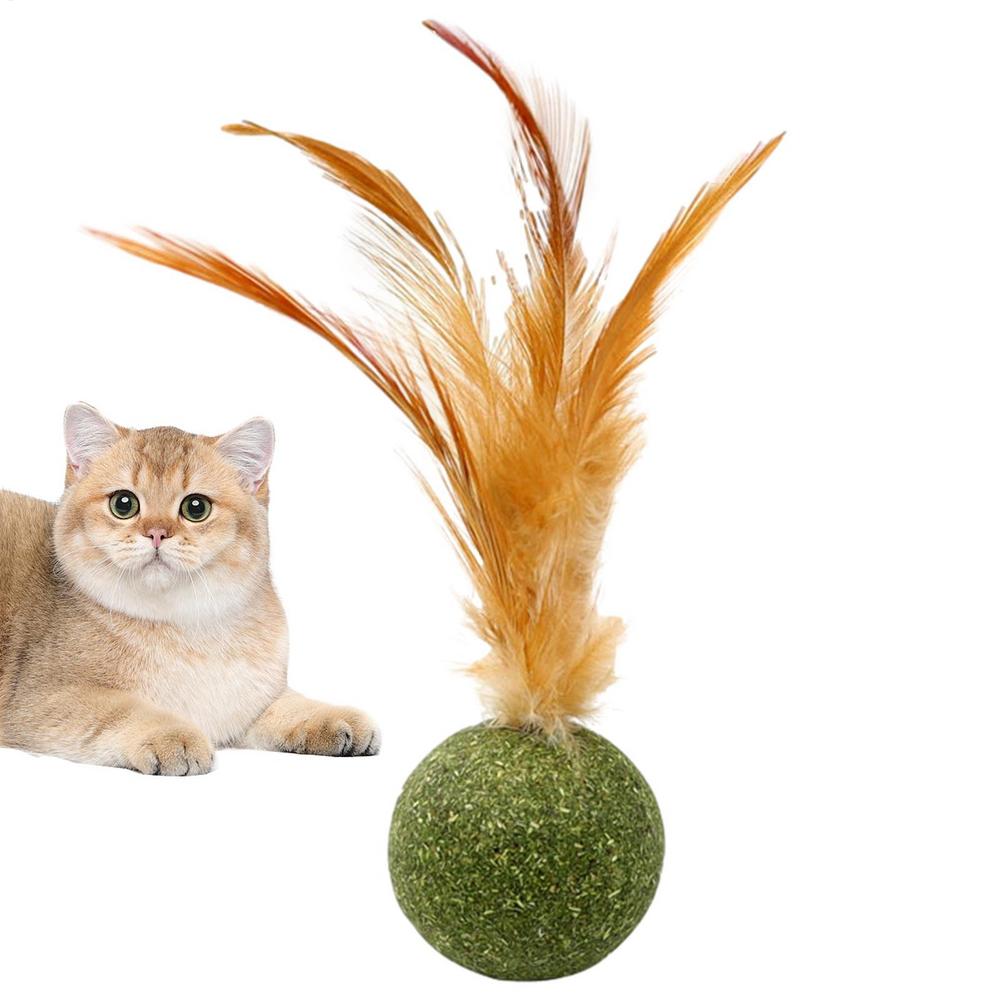 Catnip Balls for Cats Kitten Feather Edible Ball Interactive Cat Toys Indoor Cats Kicker Toy Teeth Cleaning Hairballs Removal