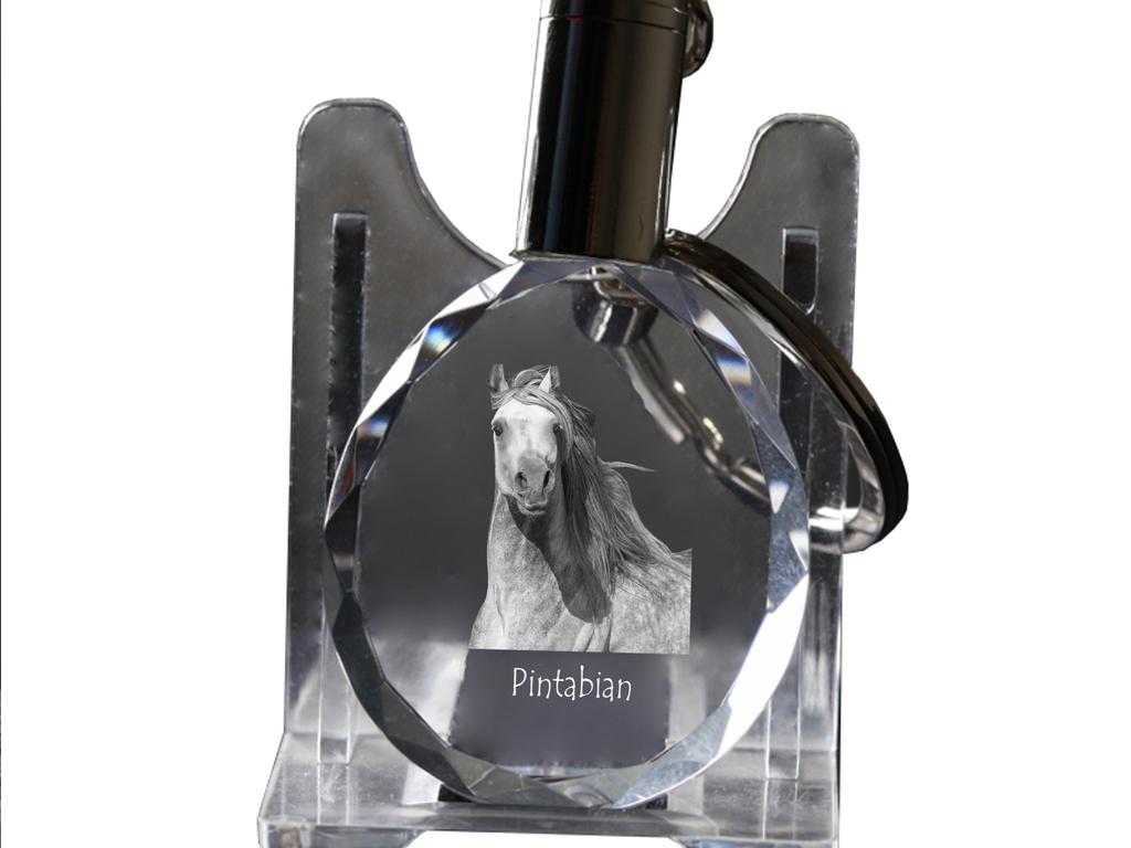 Pintabian - Pendant with a Picture of a Horse, Crystal Key Ring In a Gift Box, Unique Gift by Art-Dog Brand