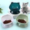 Cat Bowl with Detachable Ergonomic Design Base Anti-spill Clean Anti Easy To Pollution Drinking Bowl Neck Protect Cat Food