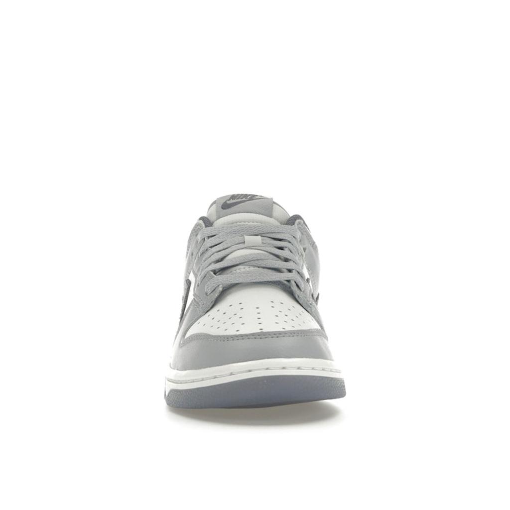 Nike Dunk Low SE Light Carbon Men Sneakers Grey White Platinum-Tint FJ4188-100
