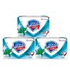 Мыло-бруски Safeguard Мятная Ледяная Свежесть (3-Pack)