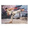 TAMASHII NATIONS SHFiguarts Street Fighter Ryu -Наряд 2- Приблизительно. 150 мм ПВХ и АБС Окрашенное Action F