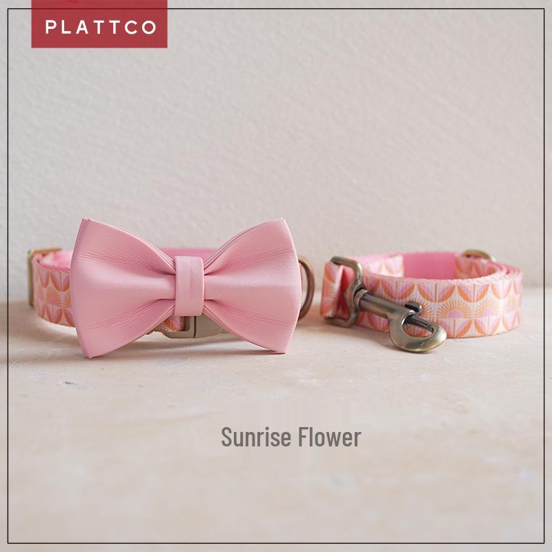 Комплект ошейник и поводок для собак PLATTCO из нейлона PDC350