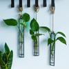 Hanging Glass Planter Flower Hanging Bottle Water Iron Art Hydroponic Vase