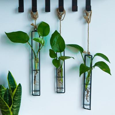 Подвесной стеклянный горшок для цветов, подвесная бутылка для воды, железная художественная гидропонная ваза