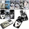 Phone Cover Animal Lovely Husky Dog Casing for Samsung Galaxy S25 S24 S22 S23 FE Ultra Plus A56 A05 A06 A15 A16 A55 S7 Edge Case