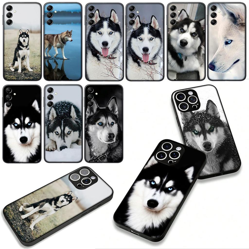 Phone Cover Animal Lovely Husky Dog Casing for Samsung Galaxy S25 S24 S22 S23 FE Ultra Plus A56 A05 A06 A15 A16 A55 S7 Edge Case