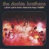 CD DOOBIE BROTHERS - What Were Once Vices Are Now Habits WPCR2654 Japan Rock Used