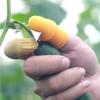 Garden Orchard Fruit and Vegetable Picking Thumb Cutter Saw Blade Pruning Shears Finger Picker