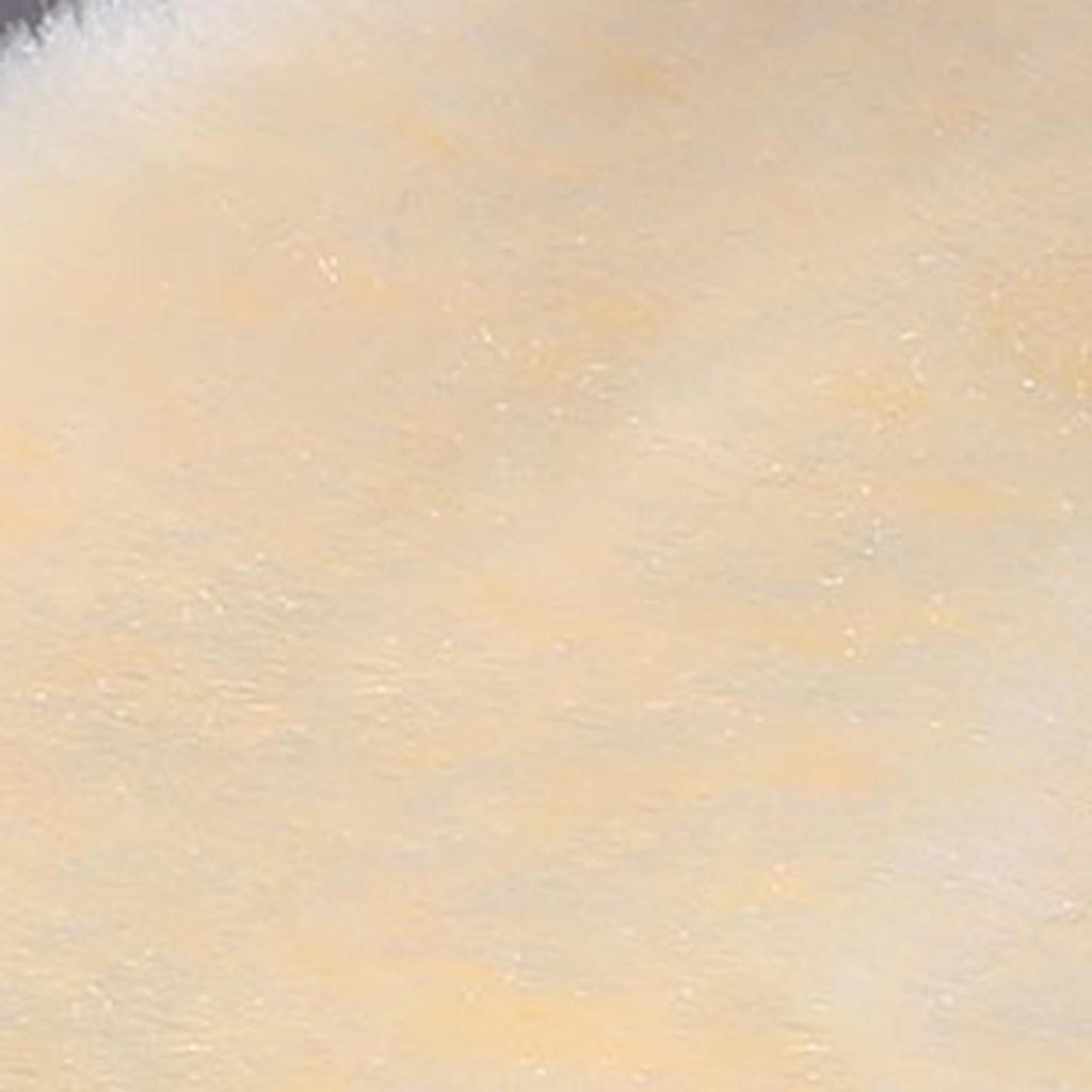 2 Pairs Shoe Insole Insert Fall Winter Warm Thick Fuzzy Wool Blend Soft Cushioning Men Women Snow Boot Inner Sole Foot Pad