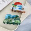 Acetic Acid Acetate Hair Clip Summer Special-shaped Grab Clip  Hair Accessories