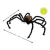 Araignée Noire Géante 130cm