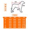 Dog Winter Coat Warm Two-legged Pet Clothes Zip Jacket Small Medium Dogs