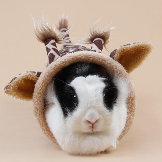 Туннель для хомяка, полузакрытый, непромокаемый, удобный, мягкий, ветрозащитный, для игр, отдыха, воздухопроницаемый, для морской свинки