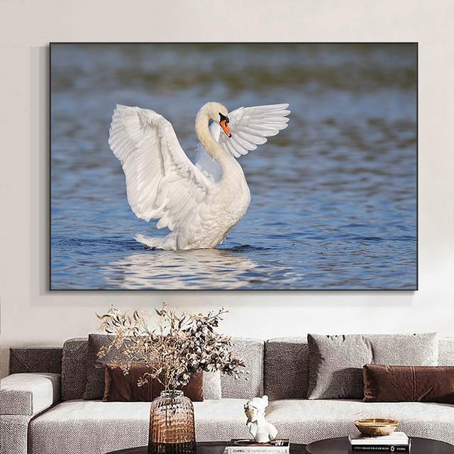 Животное Белый лебедь Любовь Синий в воде Крылья Холст Картины Плакаты и принты Настенные художественные фотографии Гостиная Домашний декор Без рамки