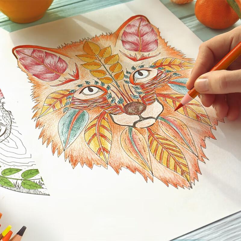 Deli 6566 36-Color Oil-Based Colored Pencil Set