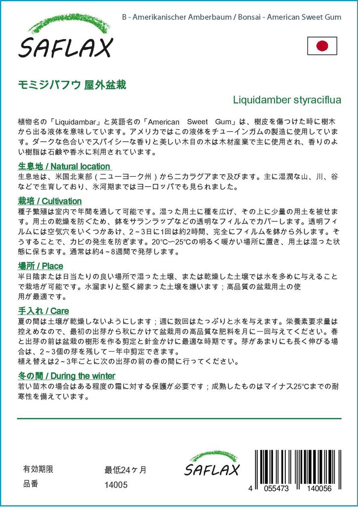 SAFLAX Garden in the Bag - Бонсай - American Sweet Gum - 100 семян - С субстратом в подходящем пакете - Liquidamber styraciflua