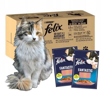 Felix Фантастик Рыбный корм 120x85г