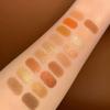 Twenty Color Eyeshadow Tray Natural Highlight Brightening Pearlescent Earth Color Sleeper Silkworm Contouring Eyeshadow Palette Lasting Setting