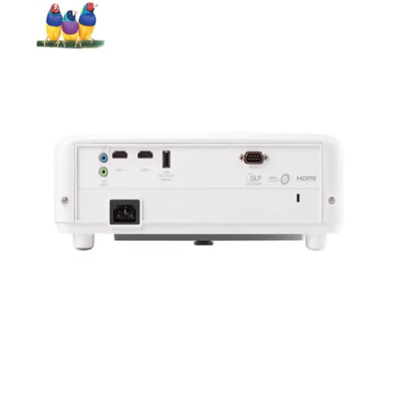 ViewSonic VS17690H 1080P Projector (CN version)