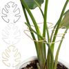 Plant Stem Support Metal Monstera Clamp Plant Support Plant Stem Holder Monstera Stabilizer Grapple Holder for Climbing Plants