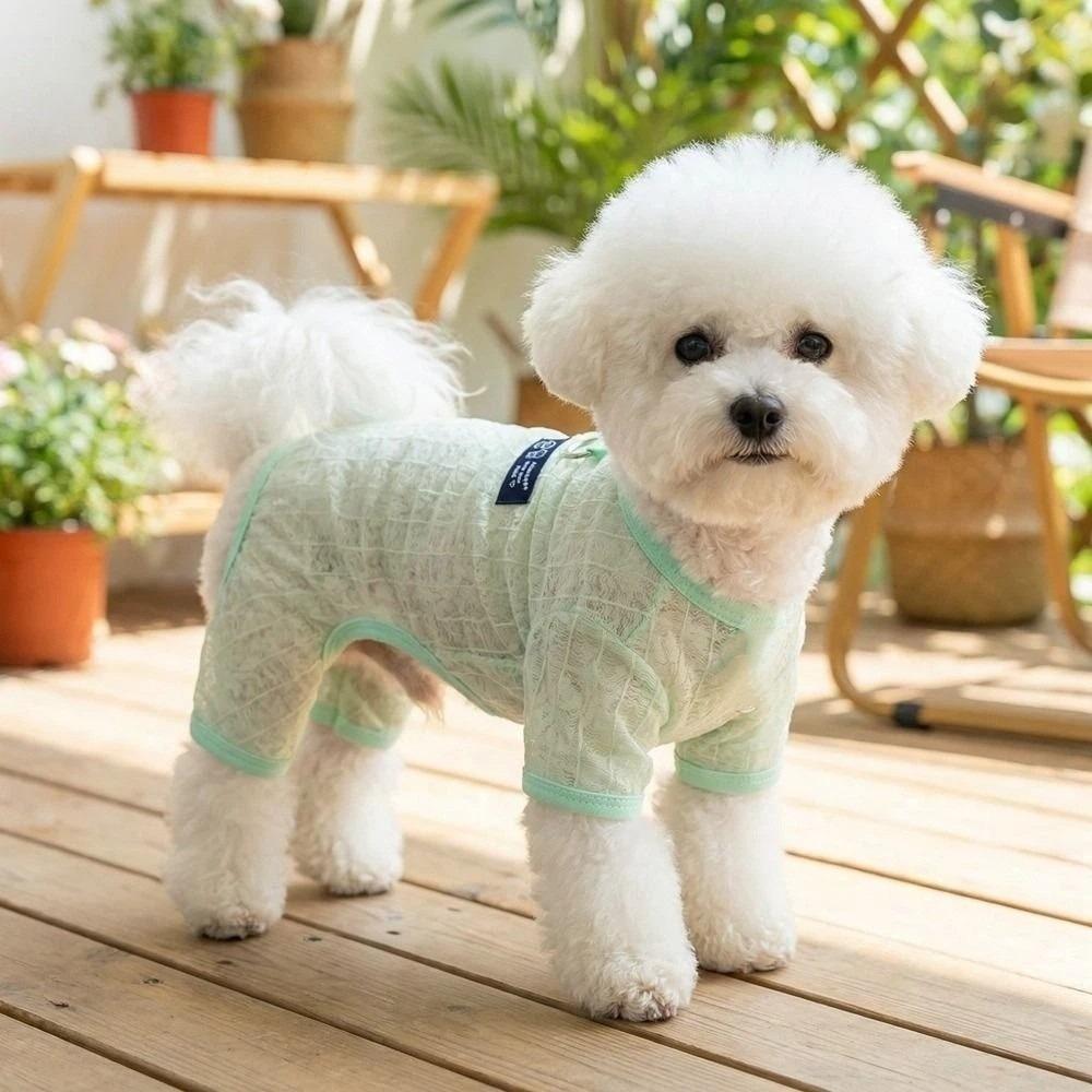 Hollow Mesh Dog Clothes Breathable Dog Outfit Pet Four-legged Wear Indoor Outdoor Use