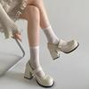 Black French Retro Thick Heel High Heels Women's Summer 2025 New with Skirt Versatile Light Mouth Mary Jane Single Shoes