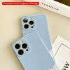 2DFlat Cute Bear Holding Flower in Pastel Field All inclusive film hard iPhone case, compatible with iPhone 18 Pro Max 17 16 15 14 13 12 11