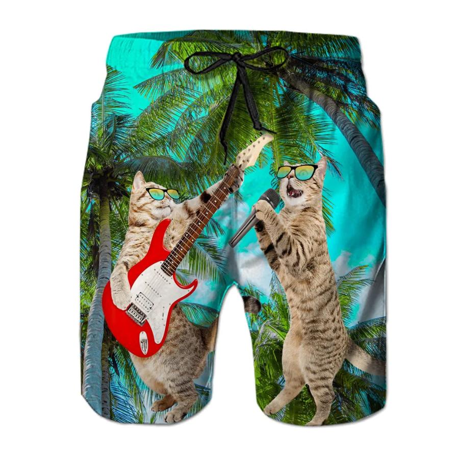 Смешные животные Динозавр Пляжные шорты Брюки Мужские 3D-печать Boardshorts для серфинга Летний Гавайский купальник Плавки Крутые Ледяные шорты