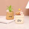 Креативный скандинавский бумажный пакет, мясистый маленький цветочный горшок, украшение для дома на балконе, столешница в горшке, мини-ваза из смолы