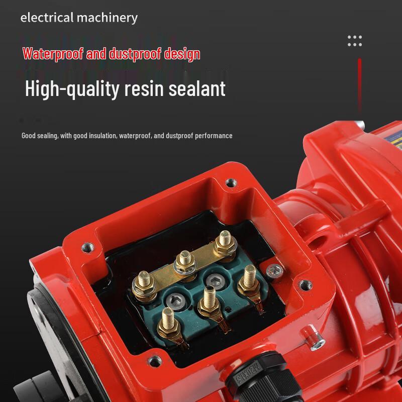 Deqier Industrial Vibrator Motor CN plug (adapter included)