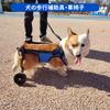 PAKESI Dog Dog Walking Dog Rehabilitation Adjustable Dog Elderly Walking Dog Rehabilitation Dog M Wheelchair, Aid, Aid, Lightweight, Size, 2-Wheel