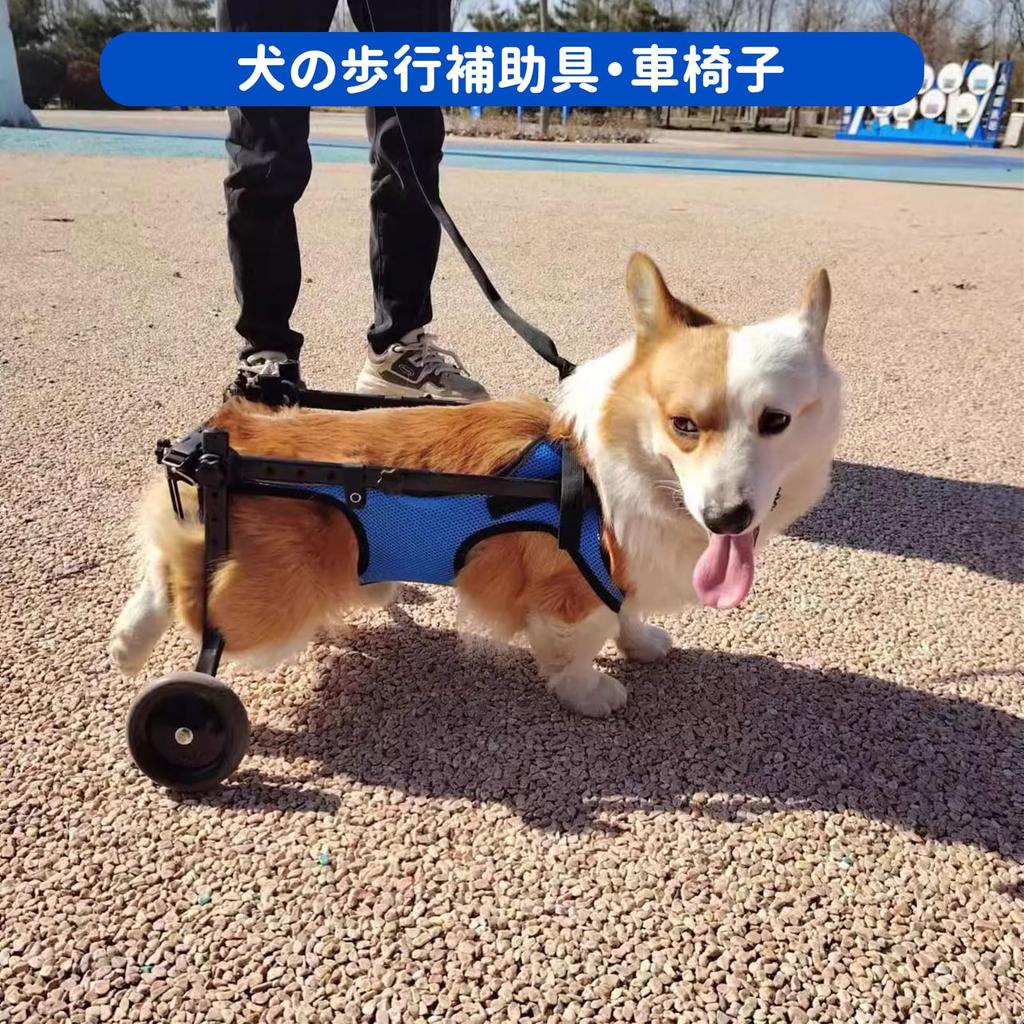 PAKESI Dog Dog Walking Dog Rehabilitation Adjustable Dog Elderly Walking Dog Rehabilitation Dog M Wheelchair, Aid, Aid, Lightweight, Size, 2-Wheel