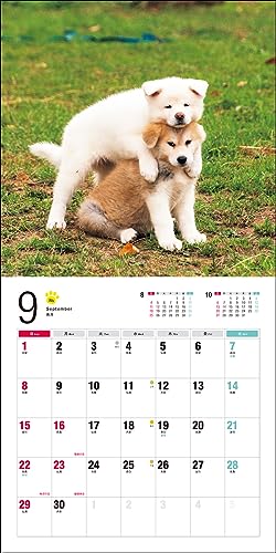 Календарь 2024 Акита-ину (Календарь Seibundo Shinkosha)