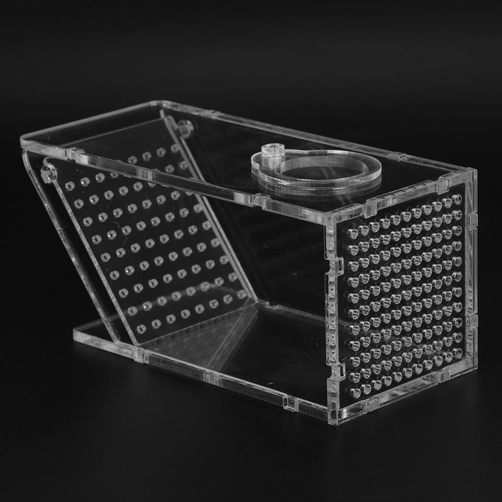 Transparent Fish Tank Trap Acrylic One Way Trap Durable Shrimp Catcher Reptile Terrarium