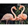 5D DIY Diamond Painting Flamingo Full Round Drill Diamond Embroidery Animals Cross Stitch