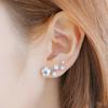 Elegant Women Flower Leaf Stud Earrings Ear Clip Piercing Jewelry Accessory Gift