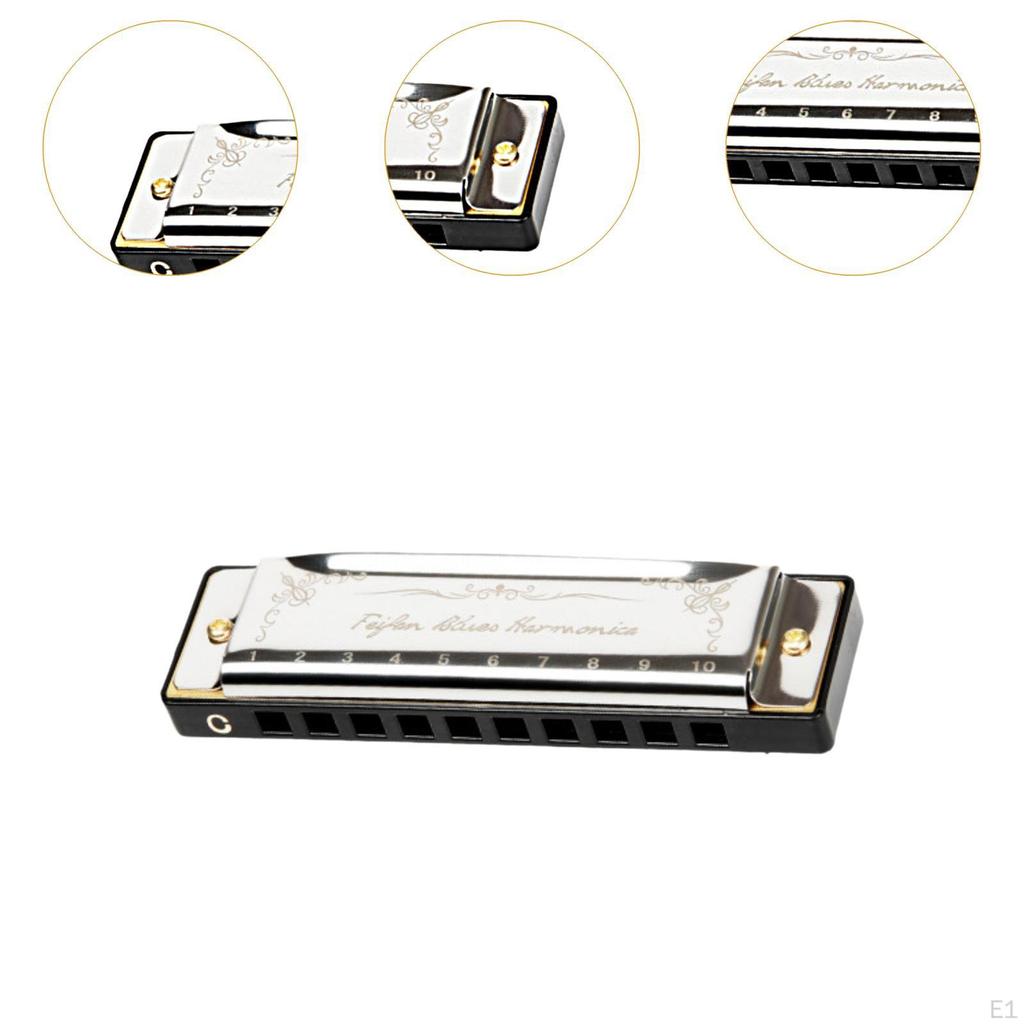 Blues Mouth Organ 10 Hole Diatonic Harmonica for Beginners Kids Outings Family Days