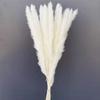 30PCS Small Reed Immortal Flower Bouquet Pampas Grass Dry Flowers Christmas DIY Decorations White