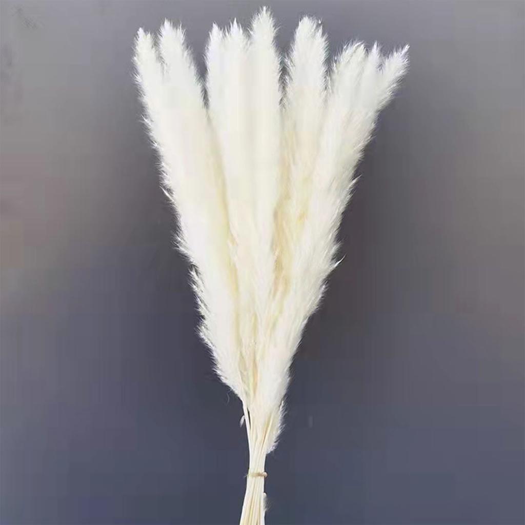 30PCS Small Reed Immortal Flower Bouquet Pampas Grass Dry Flowers Christmas DIY Decorations White