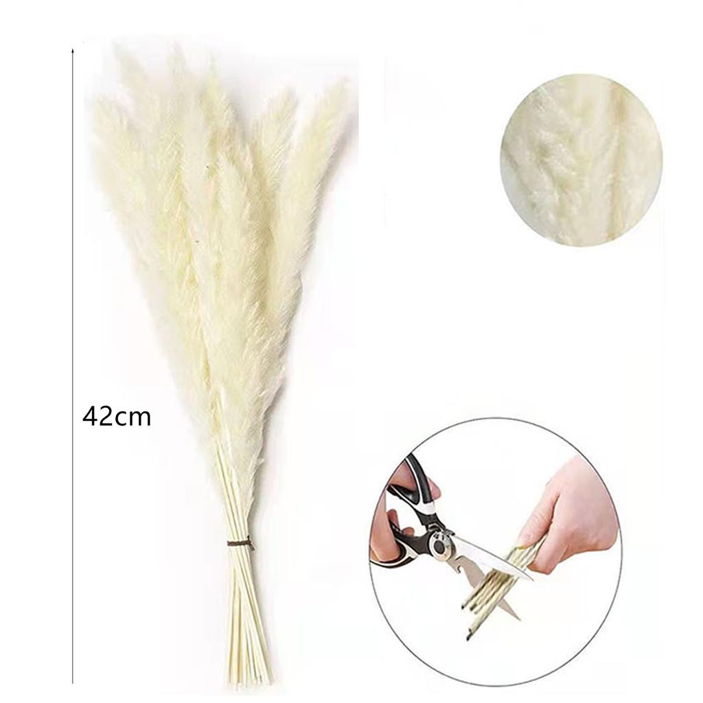30PCS Small Reed Immortal Flower Bouquet Pampas Grass Dry Flowers Christmas DIY Decorations White